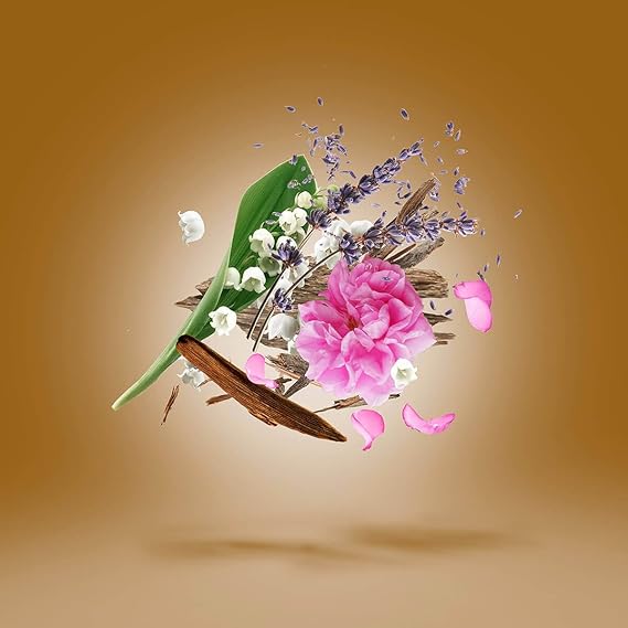 عطر ألكزاندريا 2 من زيرجوف – تحفة عطرية فاخرة (100ml Eau de Parfum)